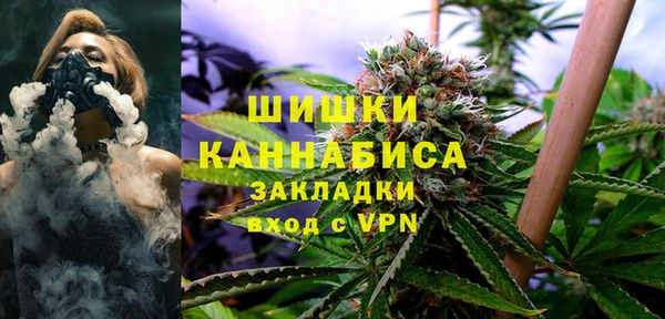 индика Новокубанск