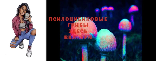 первитин Новозыбков
