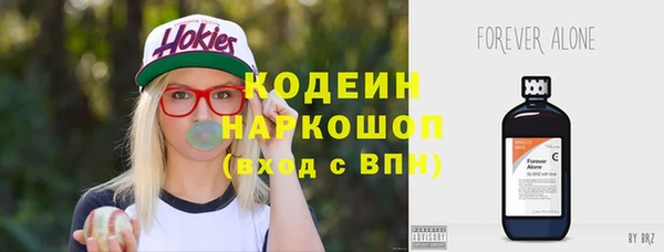 индика Новокубанск