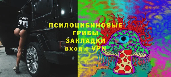первитин Новозыбков