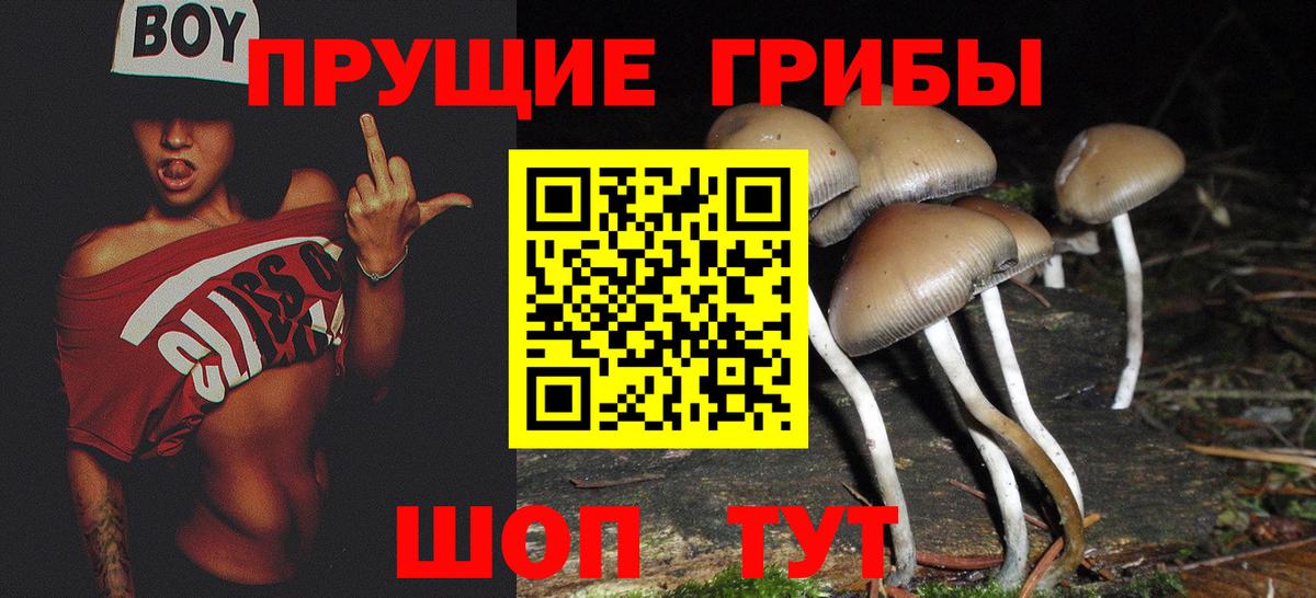 Южноуральск  Галлюциногенные грибы мицелий  Вход с VPN 